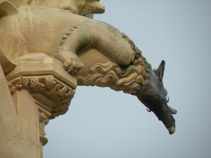  gargouille, cathédrale